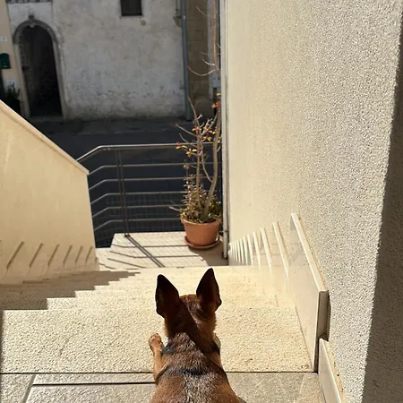 Διαμέρισμα Soami's House