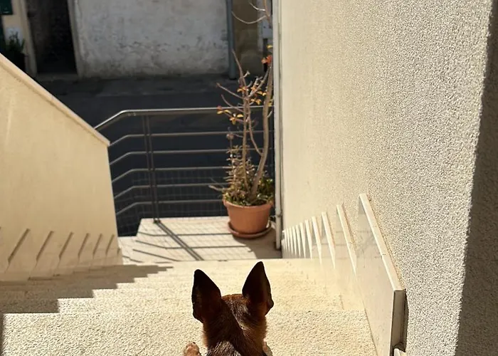 Appartamento Soami's House