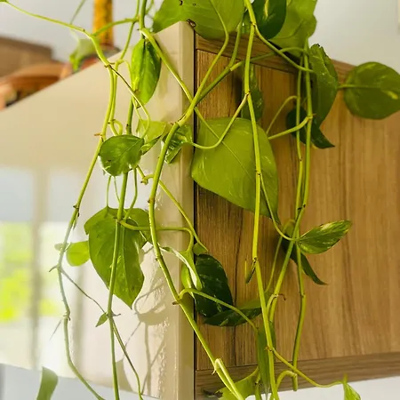 Soami's House Lägenhet Uggiano La Chiesa